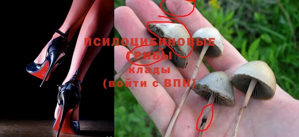 альфа пвп Бутурлиновка