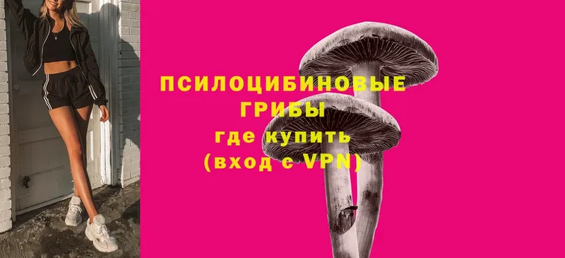 Псилоцибиновые грибы Magic Shrooms  Оханск 