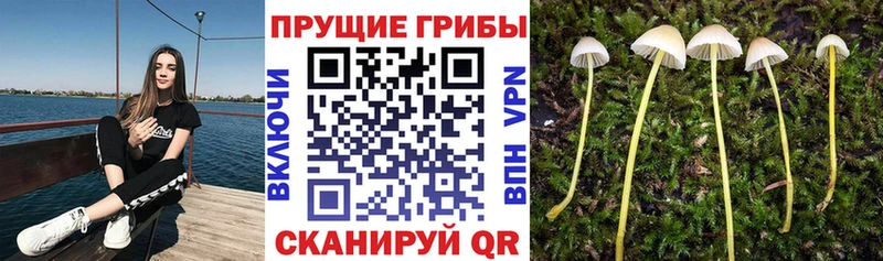 Псилоцибиновые грибы ЛСД  Оханск 